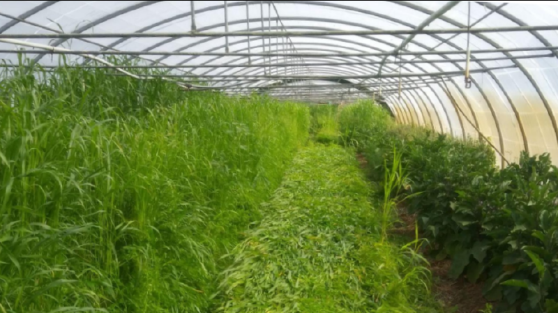 Fichier:Illustration Formation fl-ma-reuss.jpg