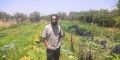 Adile Dach Agriculteur 1