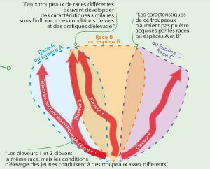 Paturajuste genetique diversite.jpg