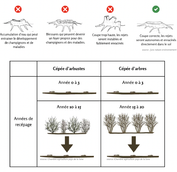 Fichier:Recepage MSV.png