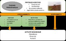 Impact-des-pratiques-culturales-sur-les-sols.jpg