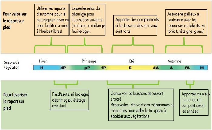 Paturajuste report saisons.jpg