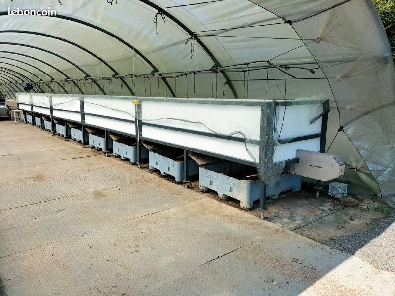 Fichier:Lombricomposteur en flux continu.jpg