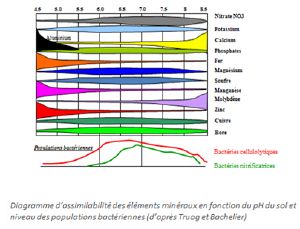 Gestion pH.jpg