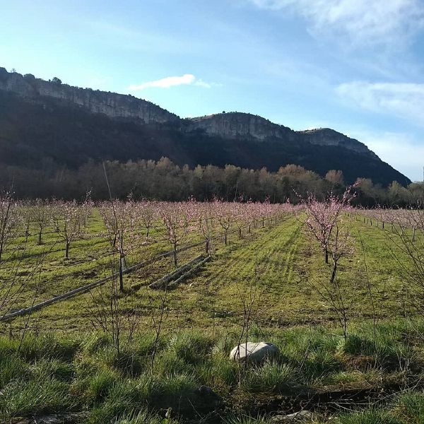 Fichier:Au Soleil d'Ardèche.jpg