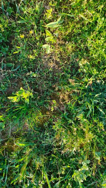 Fichier:Trou couvert.jpg