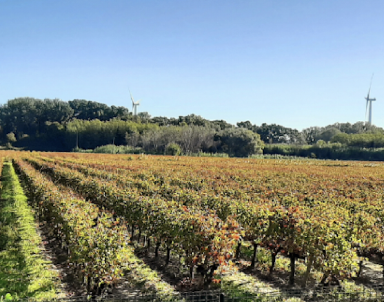 Fichier:Mas TechBio.png