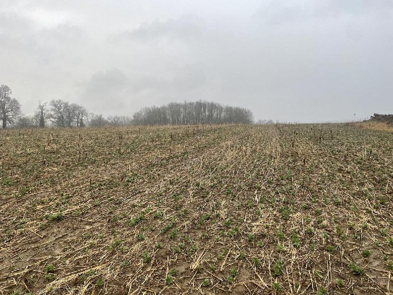 Fichier:Bannière Arthur Mousset (1).jpg