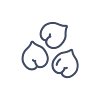 Pois chiche.png