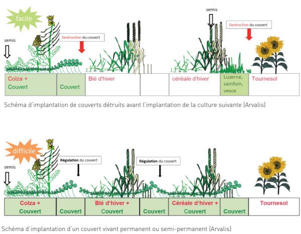 Gestion du couvert végétal