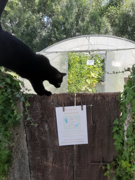 Fichier:Cueillette Yannick.jpg