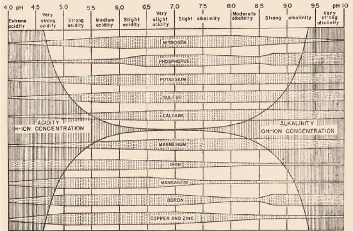 DiagrammeTruog.jpg