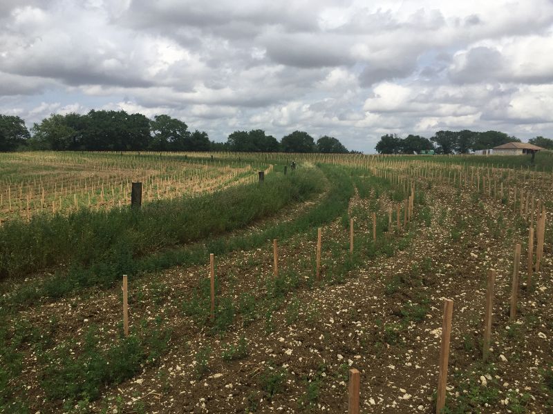 Fichier:Illustration Formation fp-ag-hydro.jpg