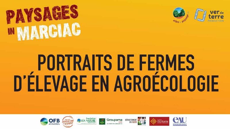 Fichier:Thumbnail youtube tqdlVAhOcGE.jpg