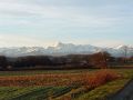 Vue sur les Pyrénées depuis la ferme.