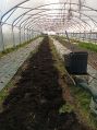 Polytunnel