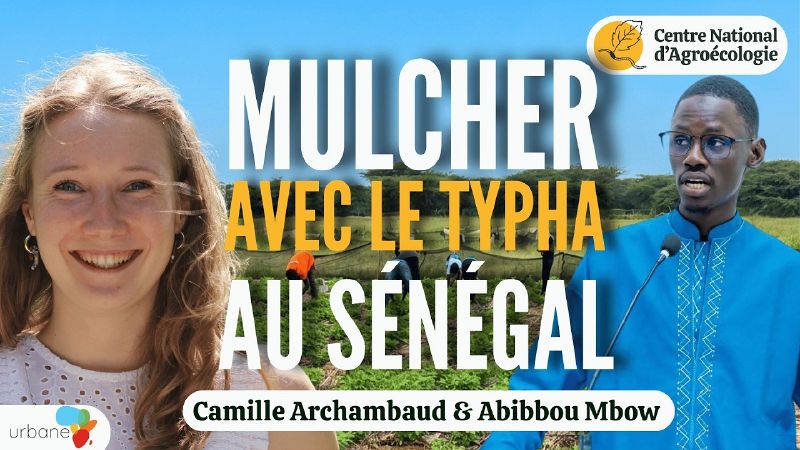 Fichier:Thumbnail youtube 3 7bYnz45Bc.jpg