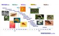 Activité-biologique-des-sols-faune-du-sol