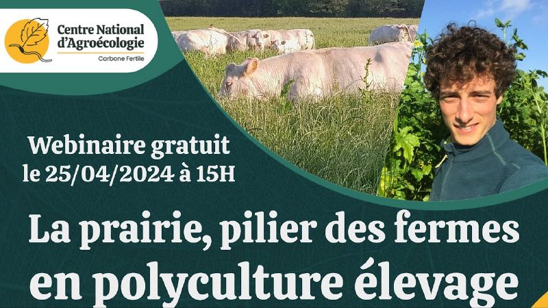 Fichier:Thumbnail youtube bvsgmSRPF4c.jpg